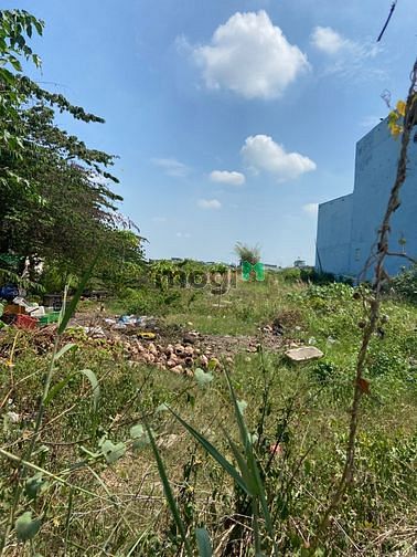 Hình ảnh Bán Lô đất 1 trục 2685m2 thổ cư đường Võ Văn Vân, Bình Chánh