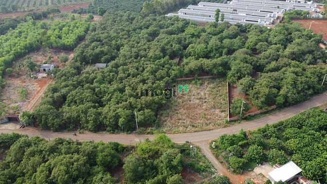 Hình ảnh Đất mặt tiền Tập Đoàn 7, vị trí đắc địa, giàu tiềm năng 40x50 thổ 100