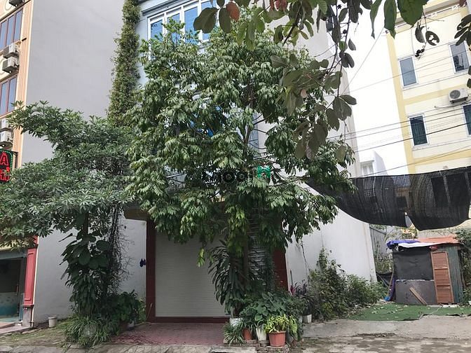 Hình ảnh Cần bán gấp đất phố trạm long biên 60m2 giá bay nhanh 3.4 tỷ