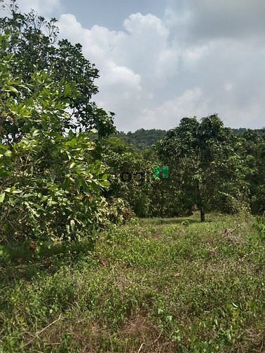 Hình ảnh Bán 1000m2 đất vườn cách QL20 2km, gần TT Định Quán