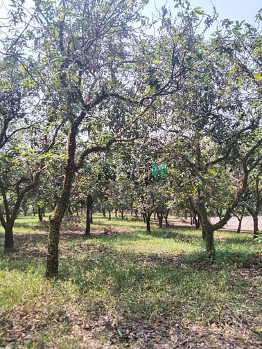 Hình ảnh Bán 1000m2 đất vườn cách QL20 2km, gần TT Định Quán