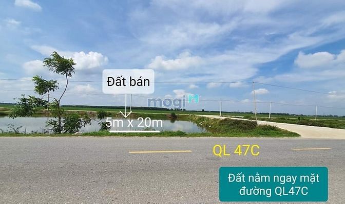 Hình ảnh Đất thị trấn tân ninh triệu sơn giá Trang MB66.COM Chính Thức - MB 66 Uy Tín