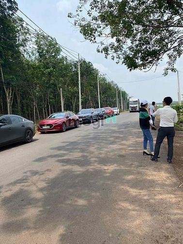 Hình ảnh Còn vài nền fo giá tốt cho anh chị Trang MB66.COM Chính Thức - MB 66 Uy Tín