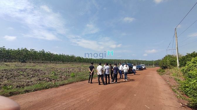Hình ảnh Còn vài nền fo giá tốt cho anh chị Trang MB66.COM Chính Thức - MB 66 Uy Tín