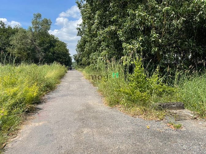 Hình ảnh cần bán 2 sào đất Phước Bình-Long Thành đất hồng có 100m2 thổ