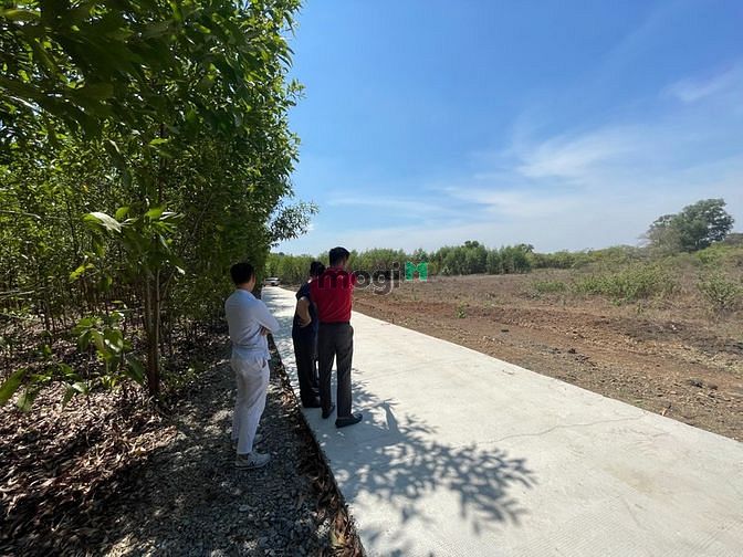 Hình ảnh cần bán 2 sào đất Phước Bình-Long Thành đất hồng có 100m2 thổ