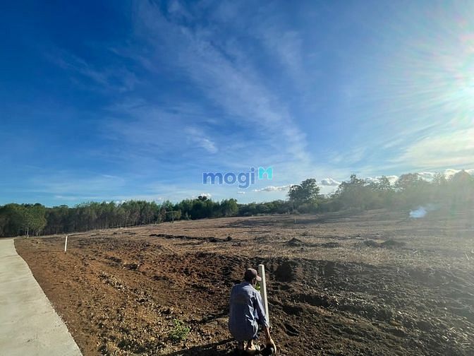 Hình ảnh cần bán 2 sào đất Phước Bình-Long Thành đất hồng có 100m2 thổ