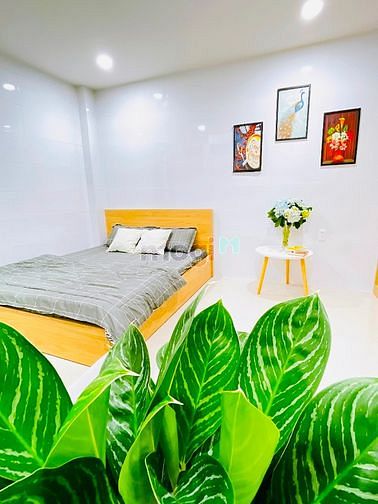 Hình ảnh Căn Hộ Dịch Vụ- Studio- Full NT- Quận 1