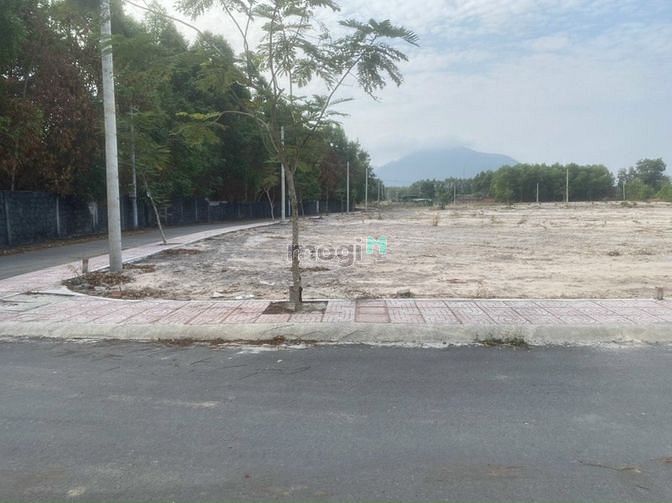 Hình ảnh Bán đất nền ngay trung tâm Huyện Đức Hòa Tỉnh Long An
