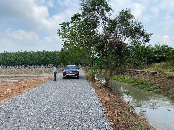 Hình ảnh Đất Vườn Củ Chi, 500m2, SHR, Đường Bà Thiên,Củ Chi