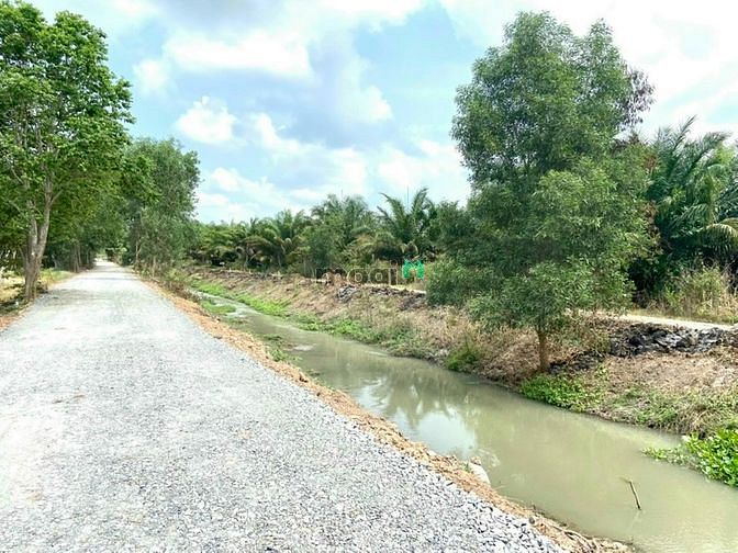 Hình ảnh Đất Vườn Củ Chi, 500m2, SHR, Đường Bà Thiên,Củ Chi
