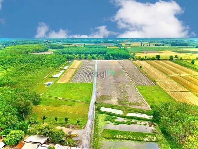 Hình ảnh Đất Vườn Củ Chi, 500m2, SHR, Đường Bà Thiên,Củ Chi