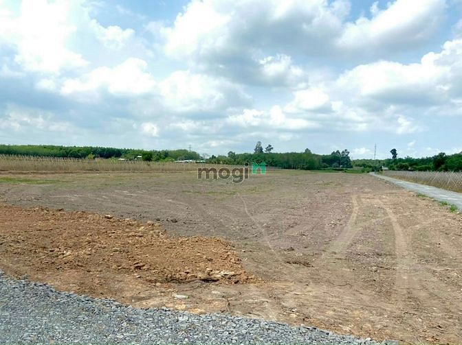 Hình ảnh Đất Vườn Củ Chi, 500m2, SHR, Đường Bà Thiên,Củ Chi