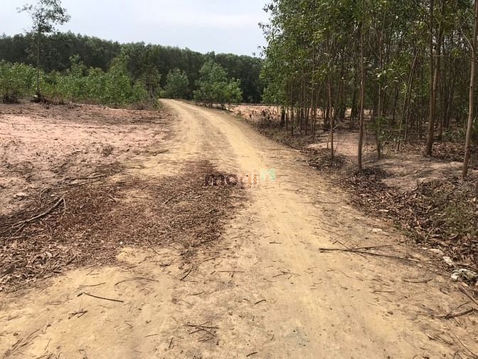 Hình ảnh Đất 1,6 Ha. Cô Kiều Tân Thắng. Giá bán 5 tỷ 5 Ha.
