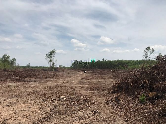 Hình ảnh Đất 1,6 Ha. Cô Kiều Tân Thắng. Giá bán 5 tỷ 5 Ha.