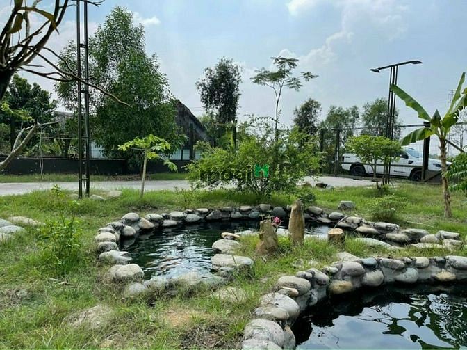 Hình ảnh bán đất 2mt đường kênh nhà vuông,2100m2, giá chỉ 12.5 tỷ