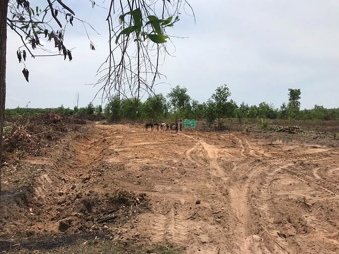 Hình ảnh 3,4 Ha Cô Kiều Tân Thắng Bình Thuận giá 4,6 tỷ / Ha.