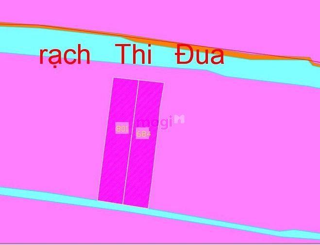 Hình ảnh MT kênh Thi Đua - 500m2 - 2.8 tỷ