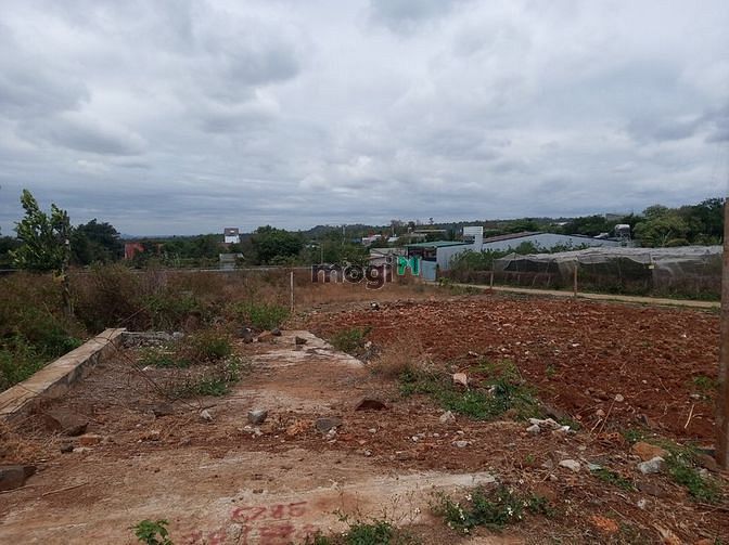Hình ảnh Bán đất thổ cư đường A2 thôn 4 cưebua 2,05 tỷ, 245m2, Mt 10m, đường qh