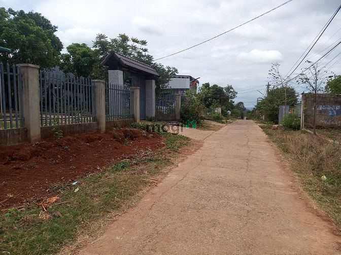 Hình ảnh Bán đất thổ cư đường A2 thôn 4 cưebua 2,05 tỷ, 245m2, Mt 10m, đường qh