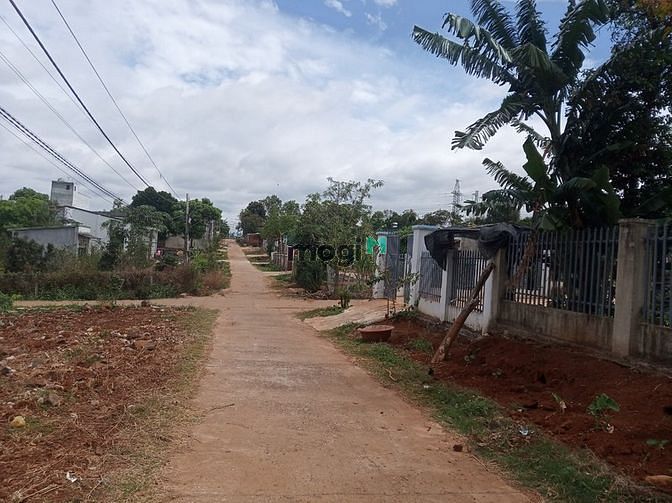 Hình ảnh Bán đất thổ cư đường A2 thôn 4 cưebua 2,05 tỷ, 245m2, Mt 10m, đường qh
