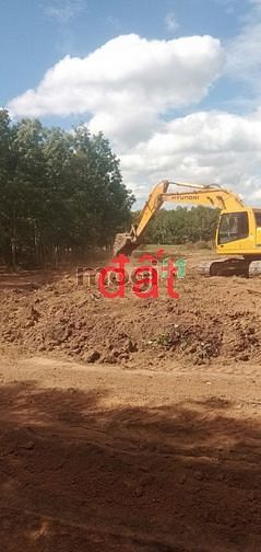 Hình ảnh Đất sào Lộc Ninh, Bình Phước sổ sẵn 1000m2/437tr