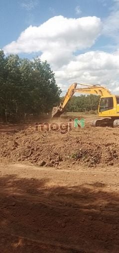 Hình ảnh Đất sào Lộc Ninh, Bình Phước sổ sẵn 1000m2/437tr