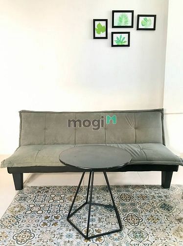 Hình ảnh CHDV Studio Cho nuôi Pet, Bao phí_An ninh_Gần Trung tâm