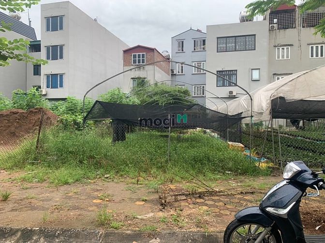 Hình ảnh Bán 101m đất đấu giá 31ha view sân nhà văn hóa cực thoáng đãng