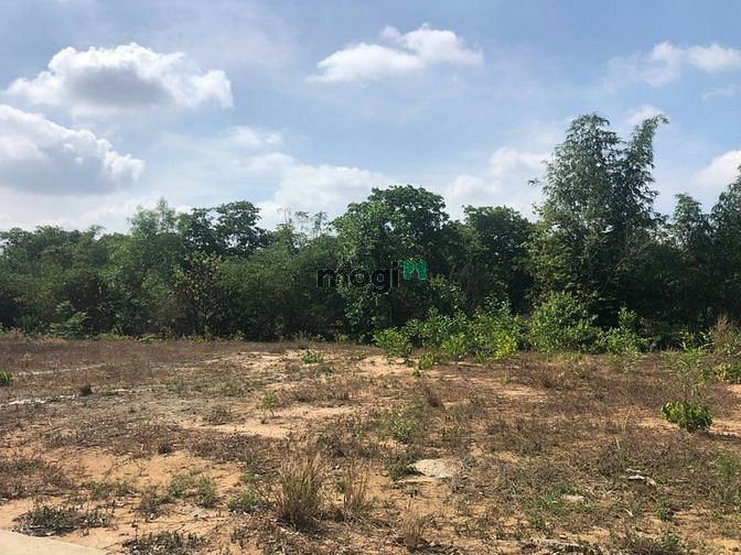 Hình ảnh Bán đất Ấp 5 Xã Phước Bình 1357m2, Huyện Long Thành
