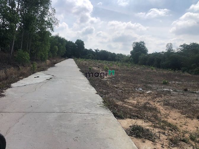 Hình ảnh Bán đất Ấp 5 Xã Phước Bình 1357m2, Huyện Long Thành