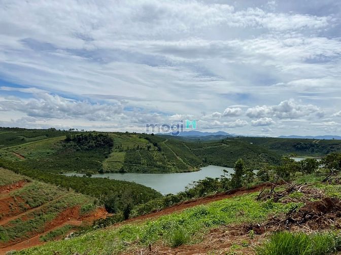 Hình ảnh 🌿 Đất view hồ Dak Long Thượng 850 ngàn / m2🌿