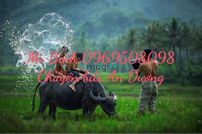 Hình ảnh Bán gấp lô đất Thôn Quỳnh Hoàng Nam Sơn An Dương Hải Phòng