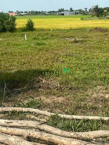 Hình ảnh Bán đất Thổ cư 5x21m 100% SHR ngay đường DT824 giá 1.1tỷ
