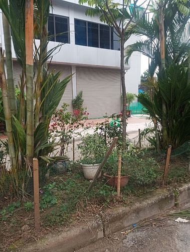 Hình ảnh Bán Đất Tân Xuân,Khu Giãn Dân. Bắc Từ Liêm Hà Nội, 120m, vuông đẹp.