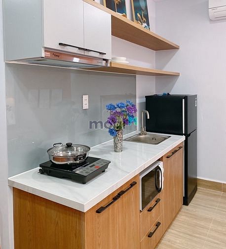 Hình ảnh Cho thuê chung cư Đường Số 10 Quận 7 gần Chợ Tân Quy_Đường Số 25