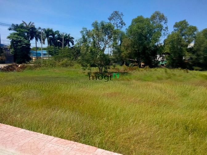 Hình ảnh Thiếu tiền, bán gấp lô đất 5x29 MT đường Trần Văn Giàu, Bình Chánh