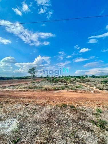 Hình ảnh Đất Xào Cây Gáo Trảng Bom 1000m2