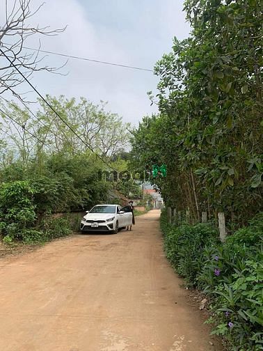 Hình ảnh Bán Đất. Phố Thanh Hà, Nam Sơn, Sóc Sơn. HN. 564m2. MT: 30m. 11tr/1m