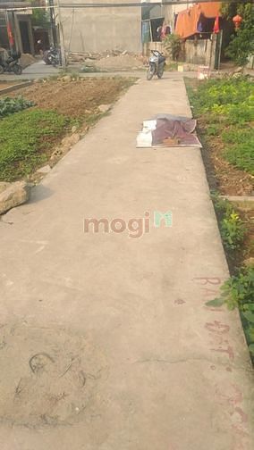 Hình ảnh Phúc Thành 33M2 Đất 3.8M . Giá chào BÁN 1200 triệu CÓ THƯƠNG LƯỢNG.
