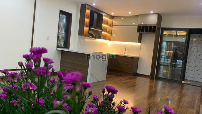 Hình ảnh Nhà đẹp phố vip - 2 mặt thoáng - lô góc