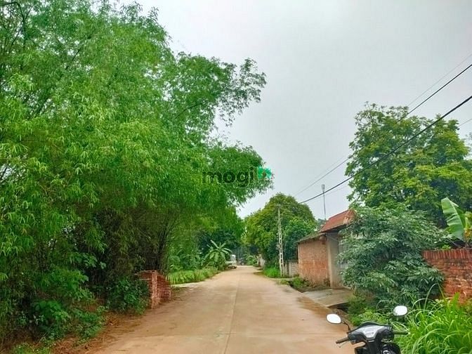Hình ảnh Bán Đất gần Đường Vành Đai KCN.dt:125m2