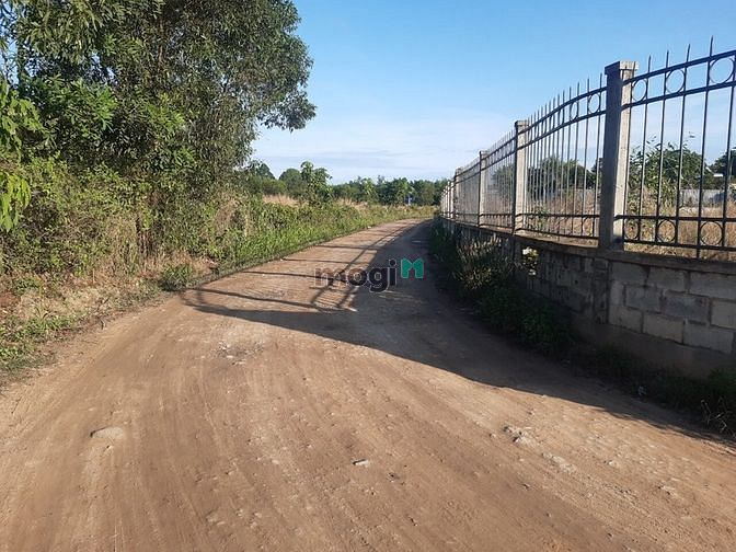 Hình ảnh Bán đất 2MT An Điền, Bến Cát, DT:23.765m2, SHR, giá 20 tỷ/ha