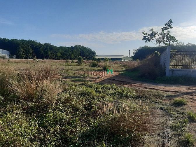 Hình ảnh Bán đất 2MT An Điền, Bến Cát, DT:23.765m2, SHR, giá 20 tỷ/ha