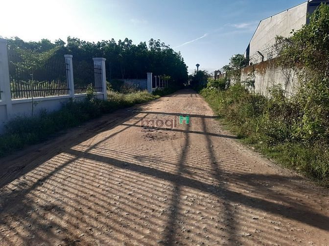 Hình ảnh Bán đất 2MT An Điền, Bến Cát, DT:23.765m2, SHR, giá 20 tỷ/ha