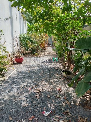 Hình ảnh Bán đất thổ cư dt 149m2 tại kdc đối diện BV Tâm Hồng Phước giá rẻ
