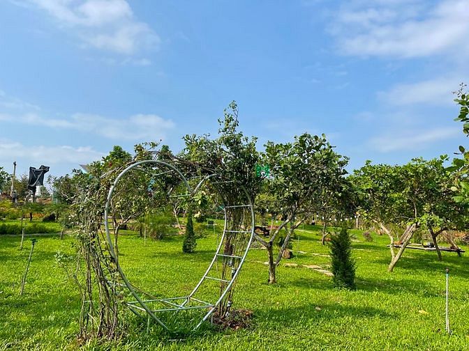 Hình ảnh Bán nhà vườn tự lành tp Ban Mê Thuột
