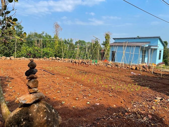 Hình ảnh Bán nhà vườn tự lành tp Ban Mê Thuột