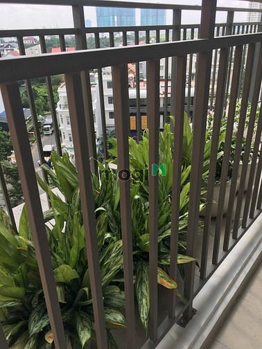 Hình ảnh The Sun Avenue 2PN - 2WC - Full NT - 14tr - ngày 20/4 ở luôn