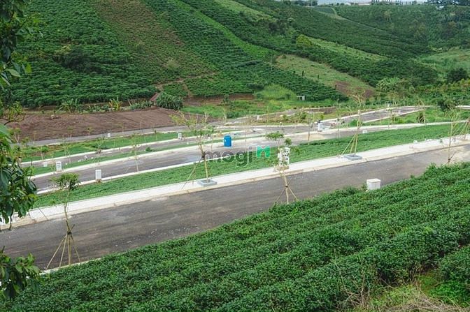 Hình ảnh Chỉ với 300TR Sở hữu Đất nền đối diện KDL đồi chè TÂM CHÂU